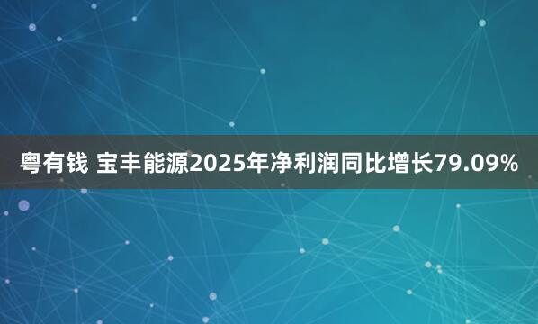 粤有钱 宝丰能源2025年净利润同比增长79.09%