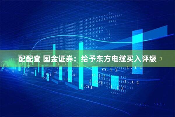 配配查 国金证券：给予东方电缆买入评级