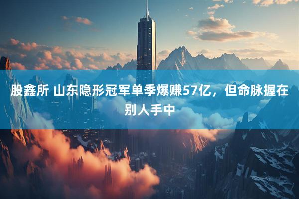 股鑫所 山东隐形冠军单季爆赚57亿，但命脉握在别人手中