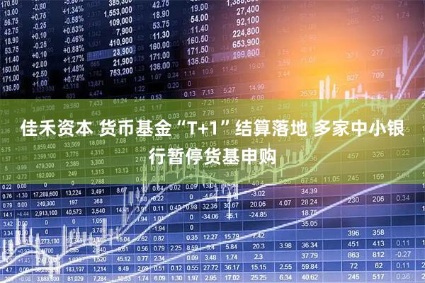 佳禾资本 货币基金“T+1”结算落地 多家中小银行暂停货基申购