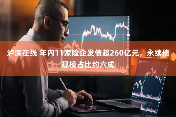 泸深在线 年内11家险企发债超260亿元，永续债规模占比约六成
