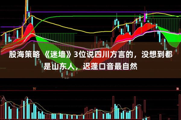 股海策略 《迷墙》3位说四川方言的,没想到都是山东人,迟蓬口音最自然