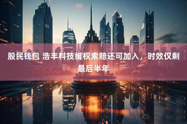股民钱包 浩丰科技维权索赔还可加入，时效仅剩最后半年
